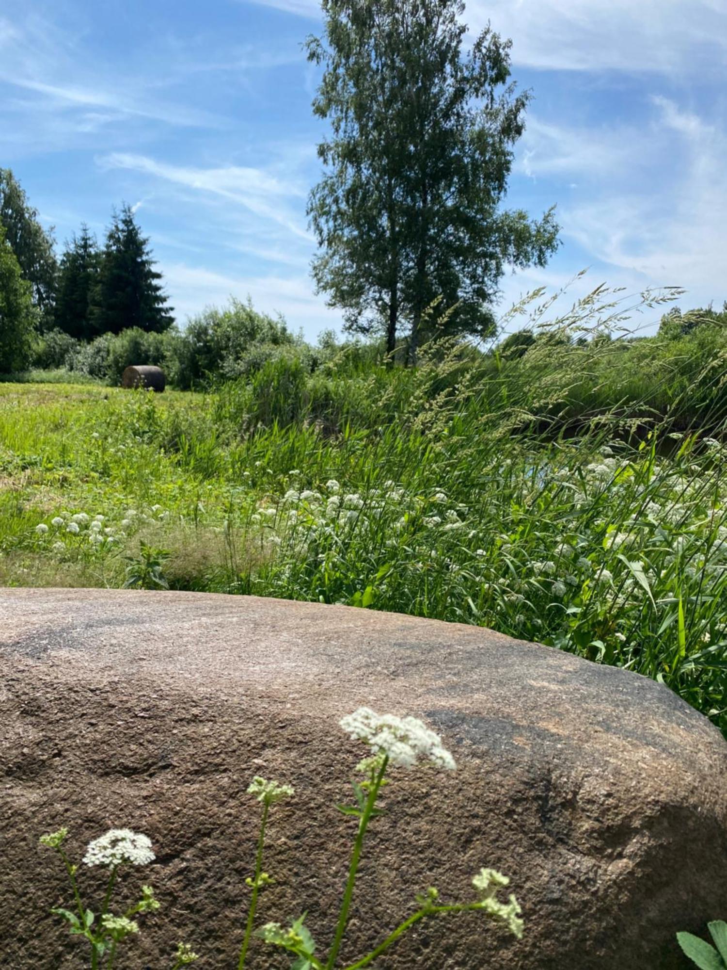 Suurkivi Nature Escape Häädemeeste Esterno foto