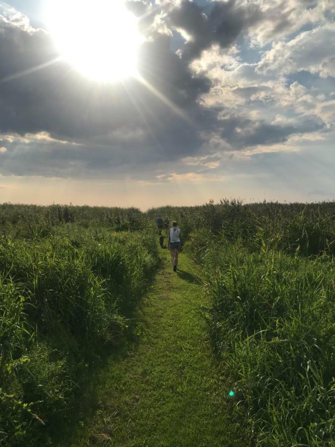 Suurkivi Nature Escape Häädemeeste Esterno foto